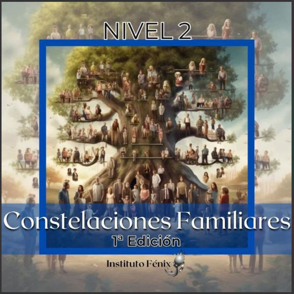 2° NIVEL - CONSTELACIONES FAMILIARES - 1° EDICIÓN